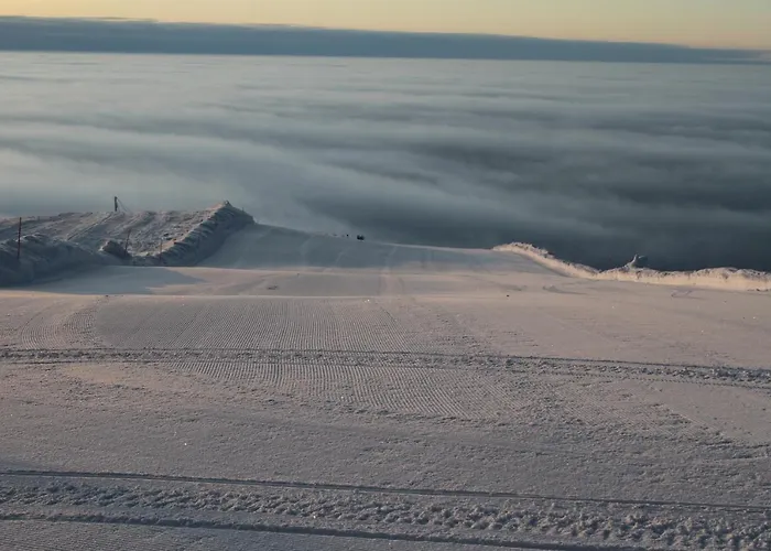 Yllaes Slope Sarestar *